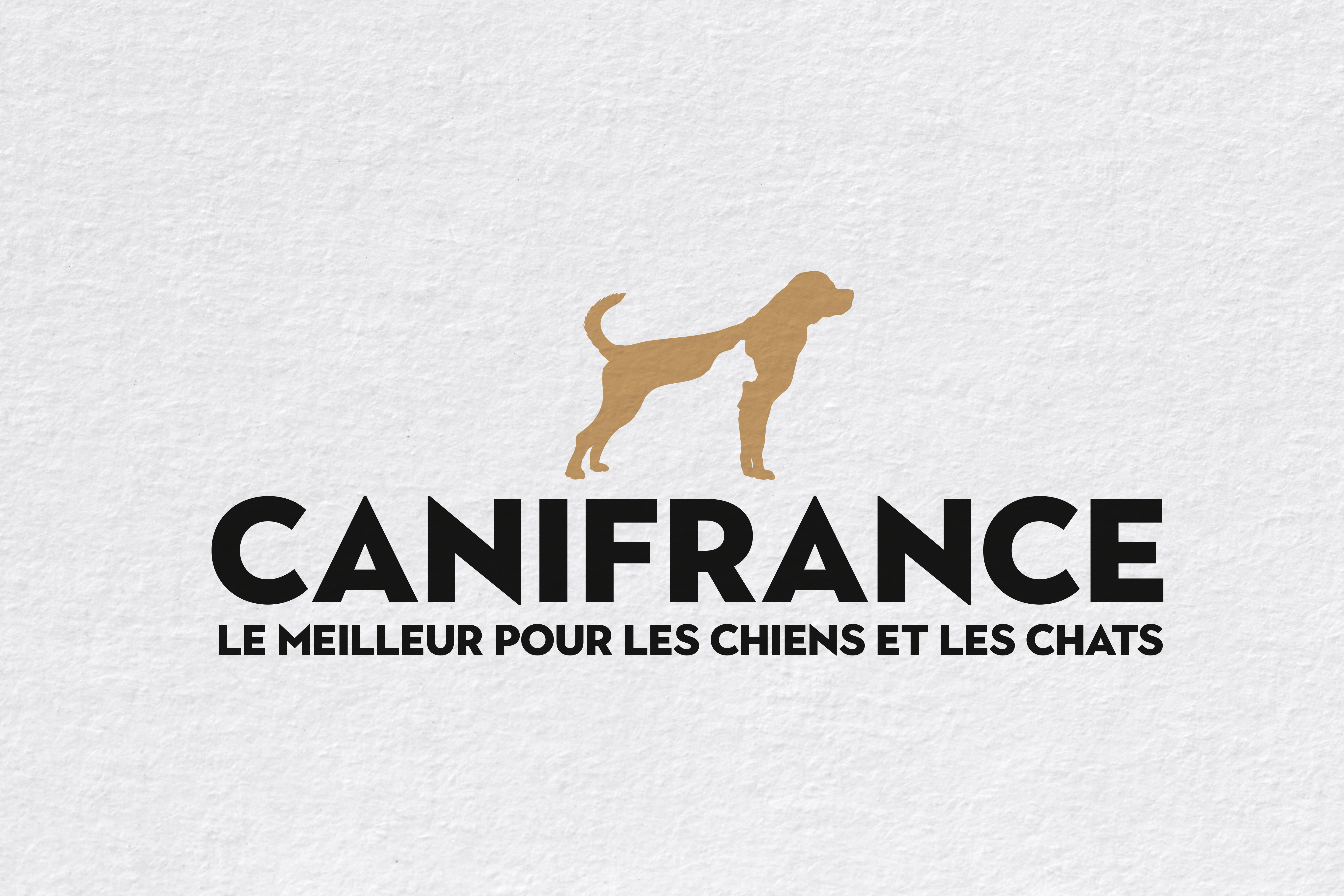 logo CANIFRANCE