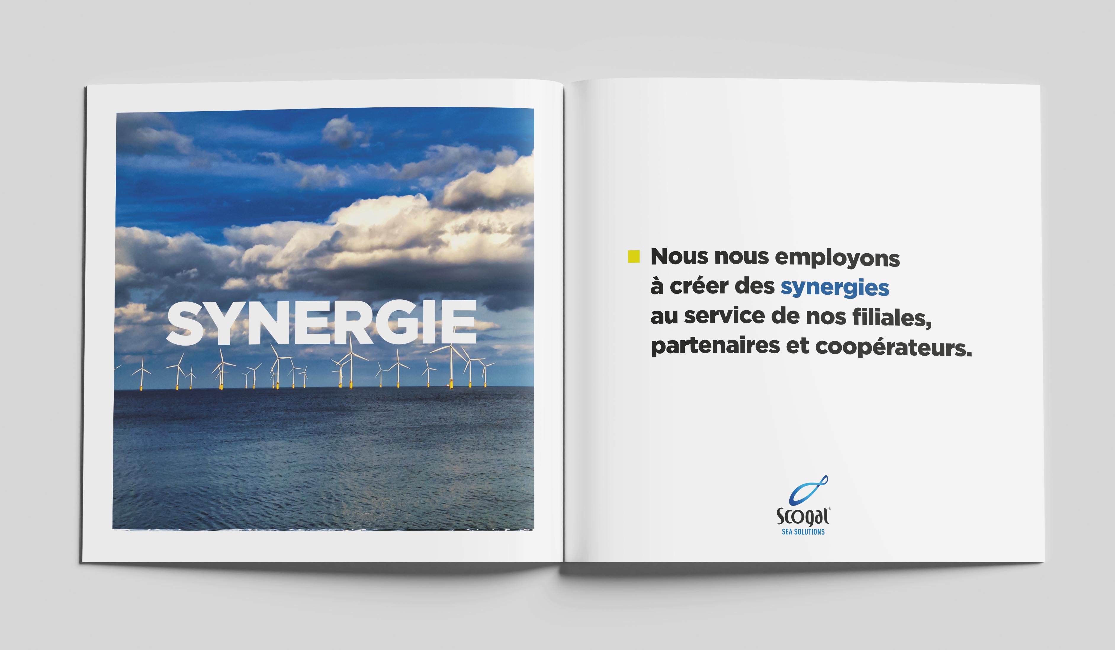 synergies scogal livret corporate 