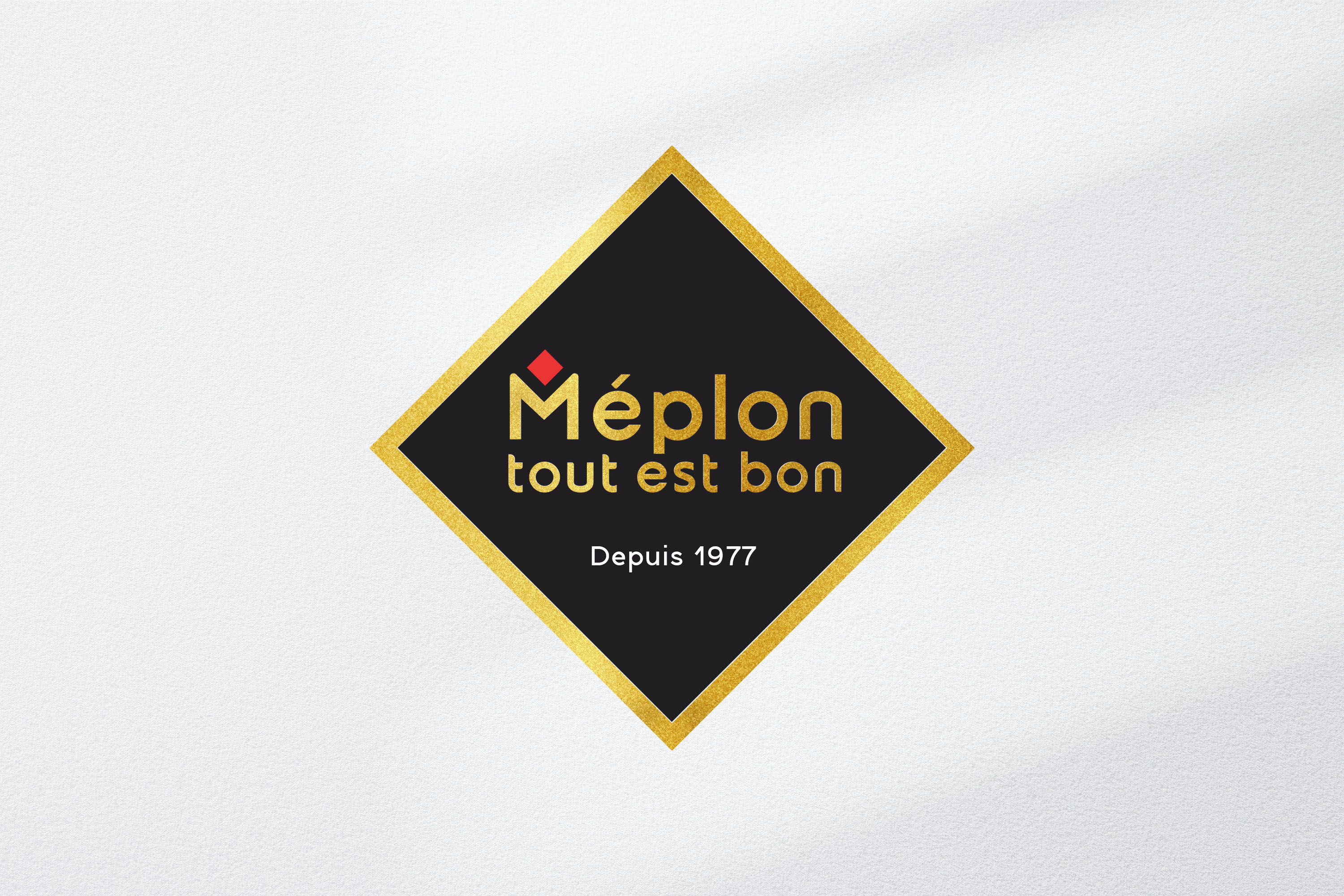 meplon logotype