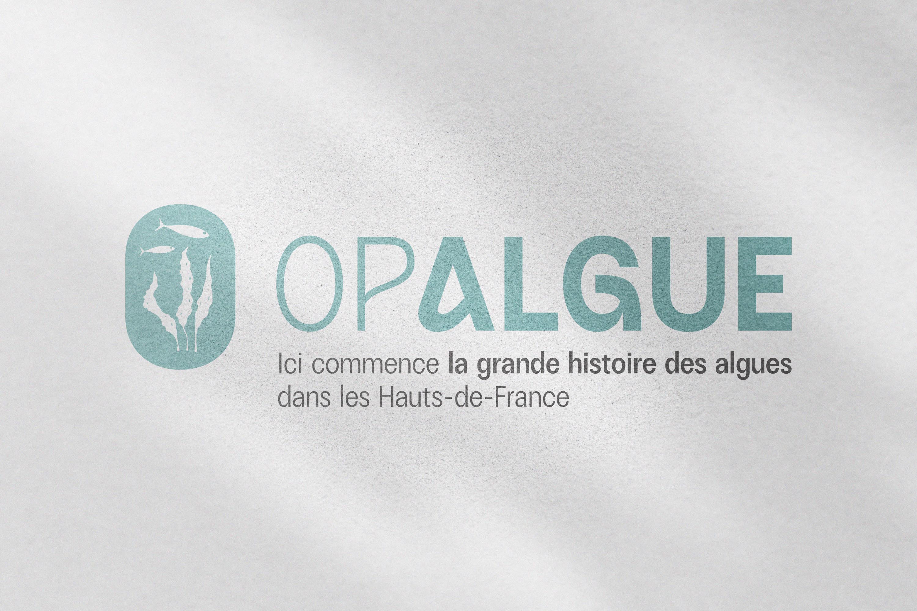 opalgue Logotype spinach communication