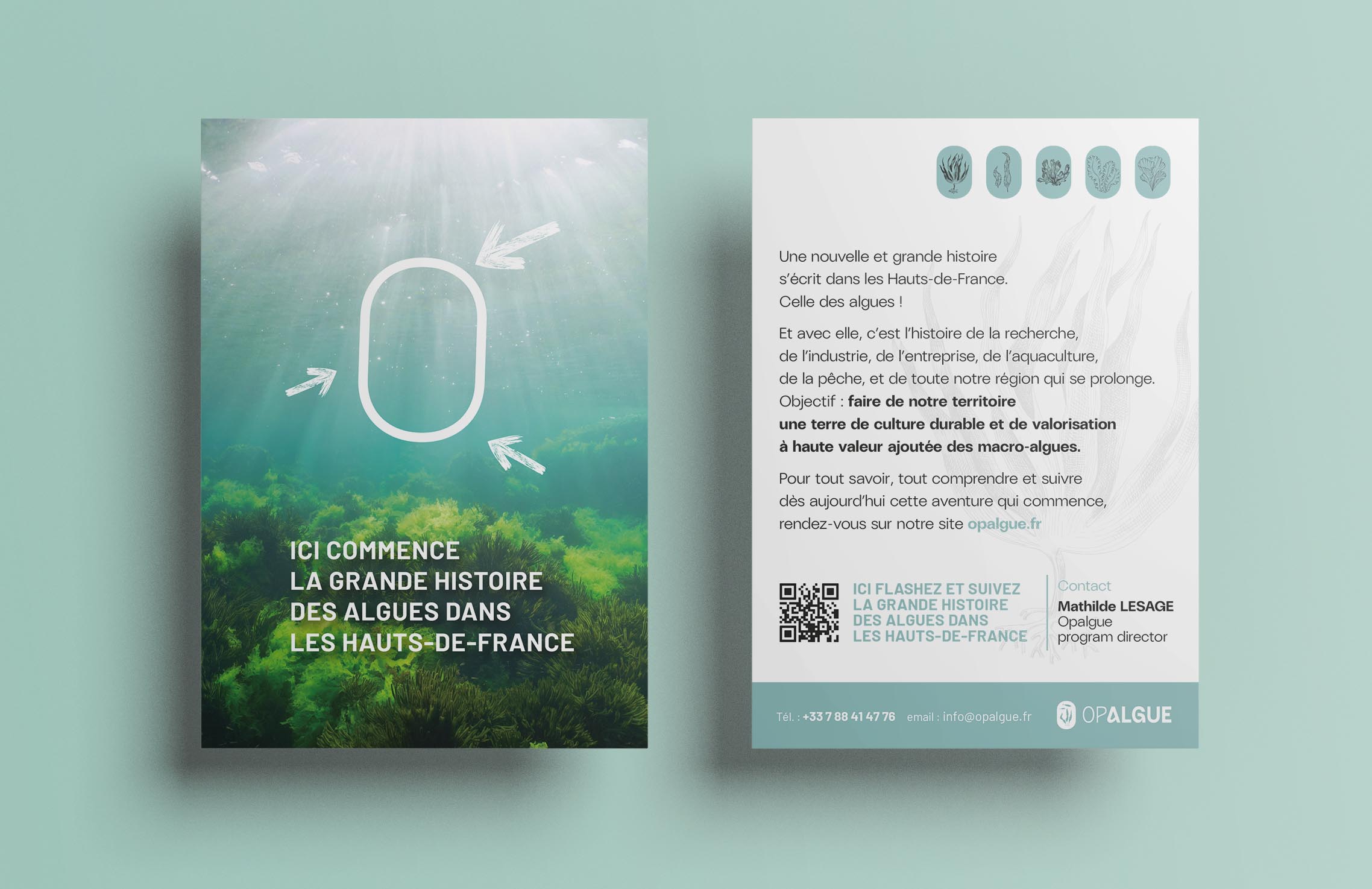 cartes com opalgue spinach communication