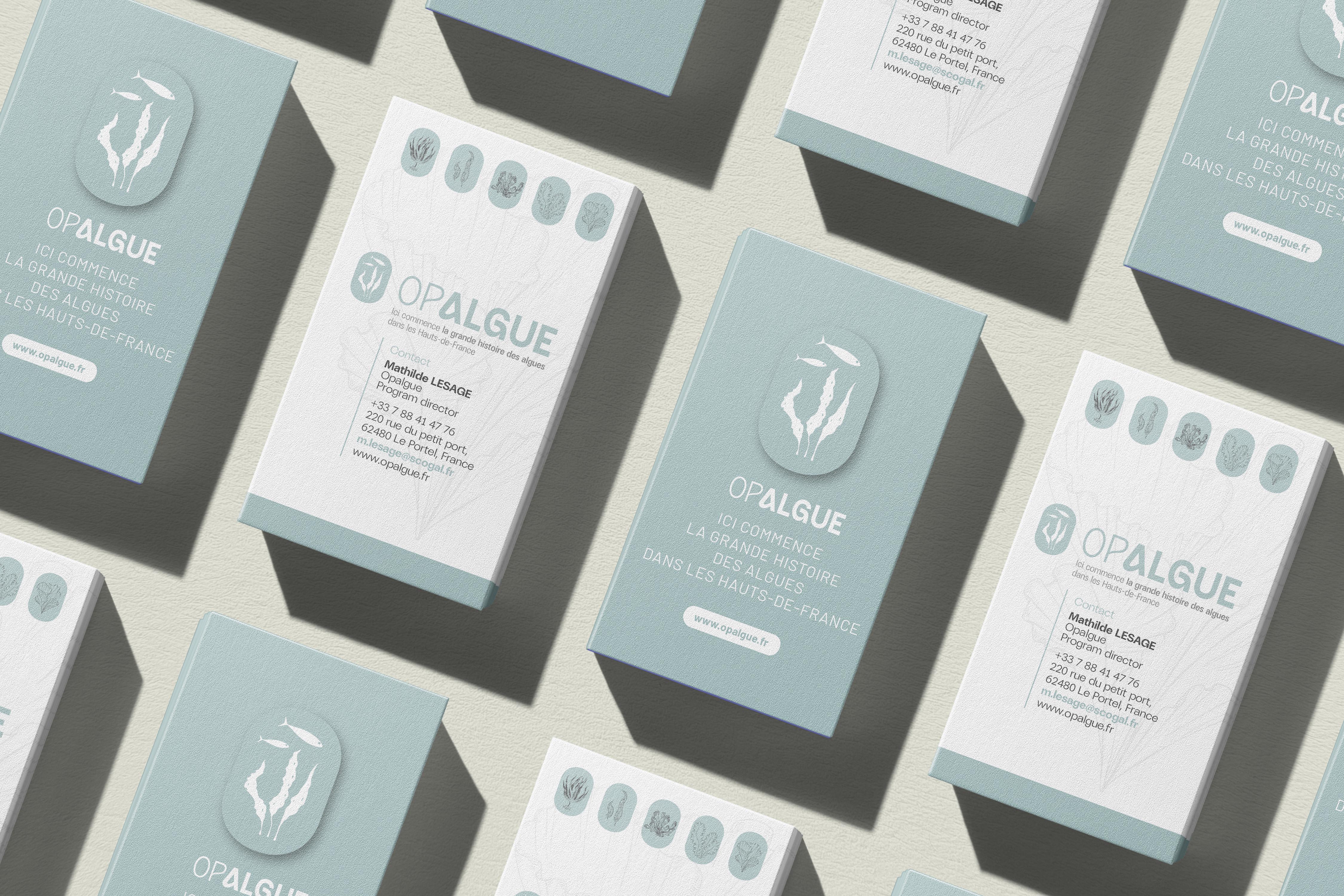 cartes de visite opalgue spinach communication