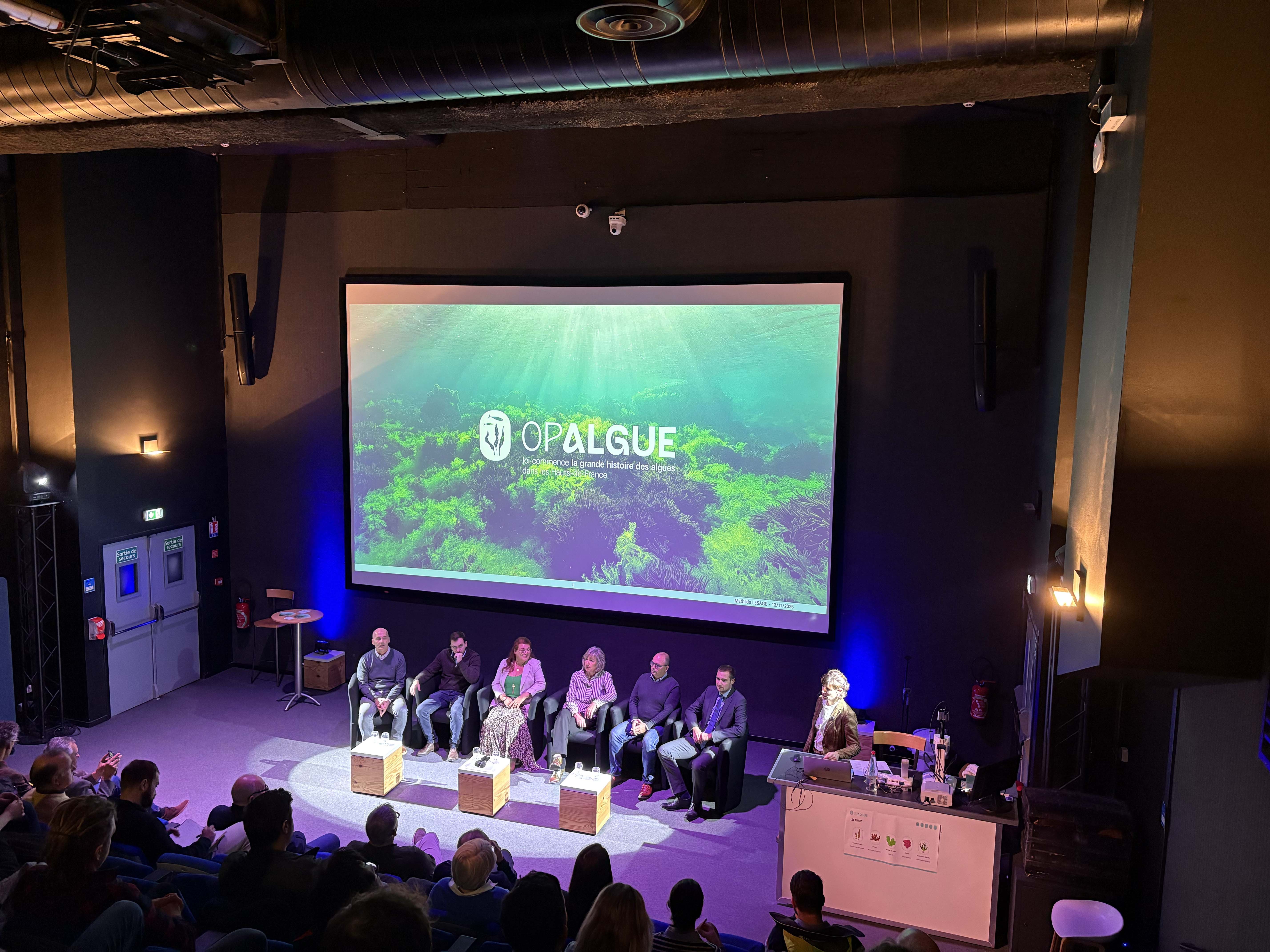 conf opalgue spinach communication
