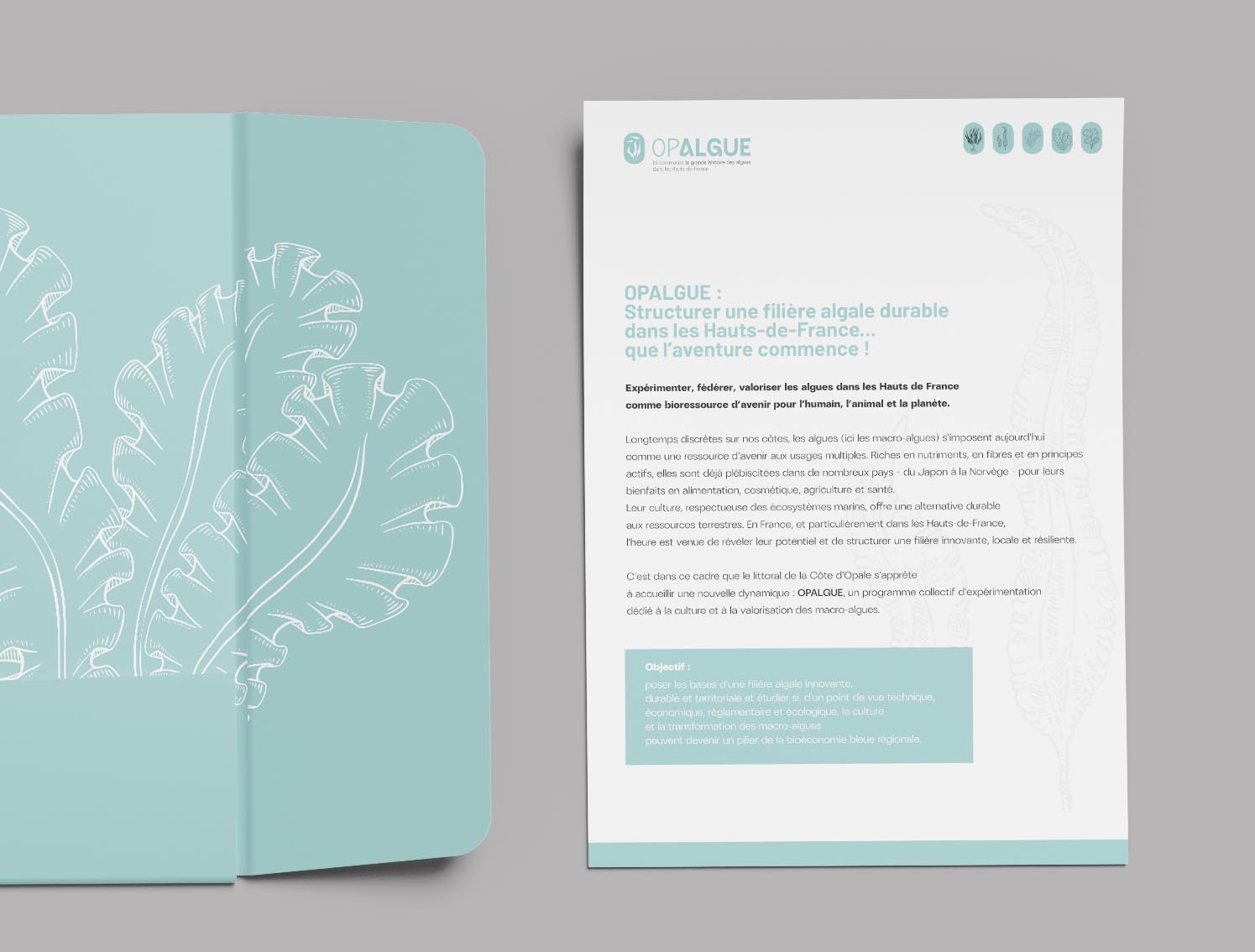 edition oplague spinach communication