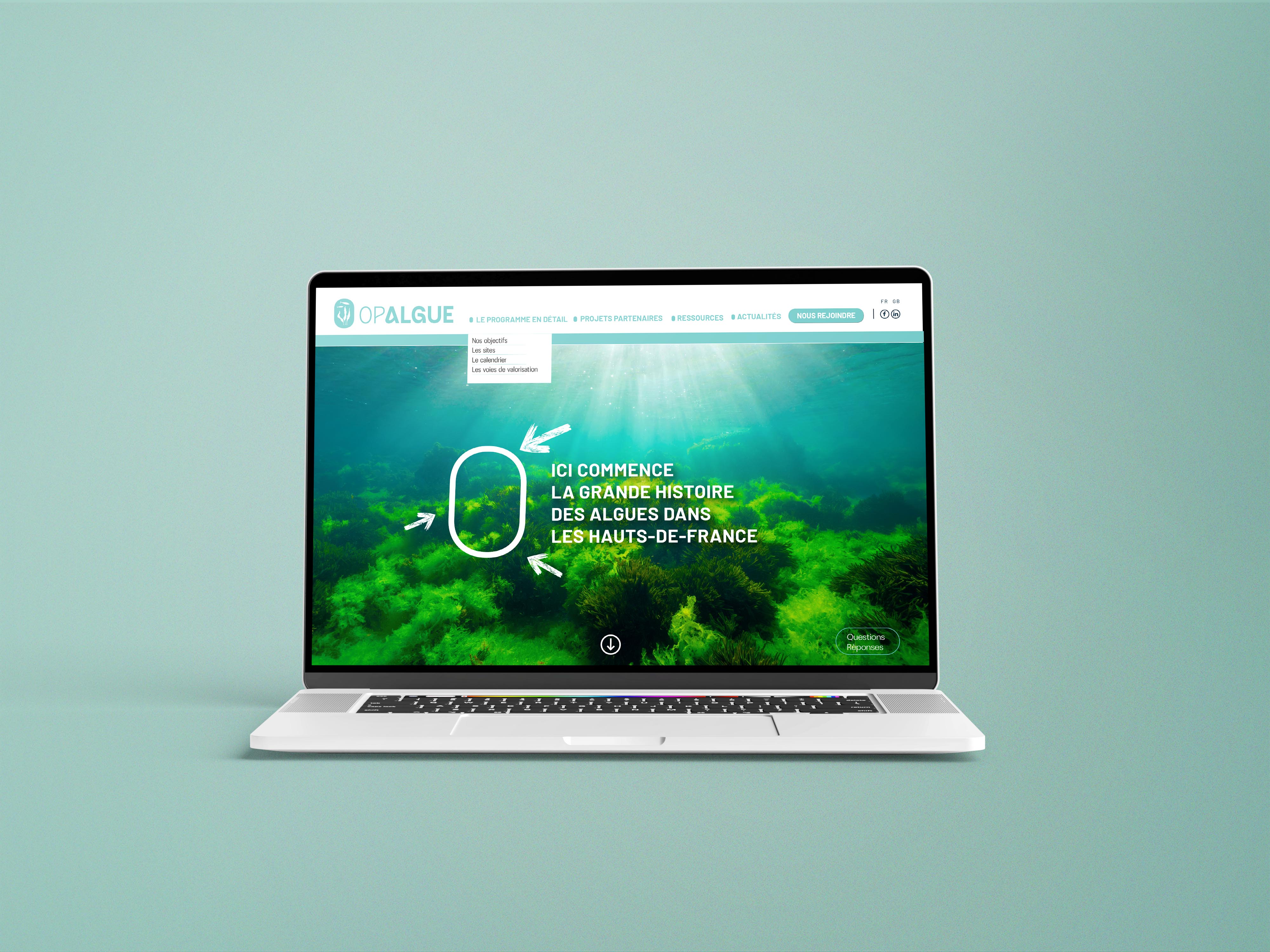OPLAGUE SITE spinach communication