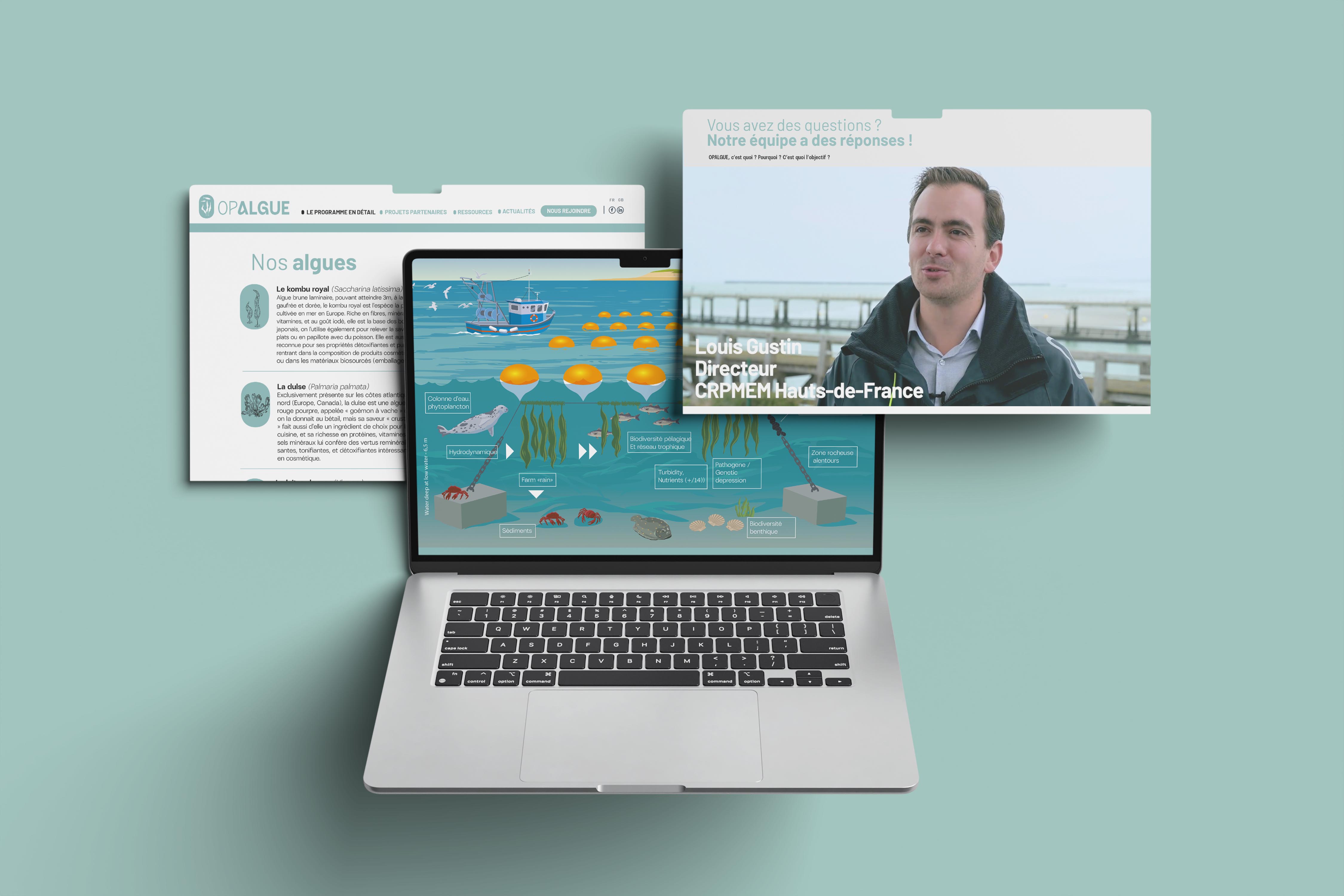 site Oplague developpement spinach communication